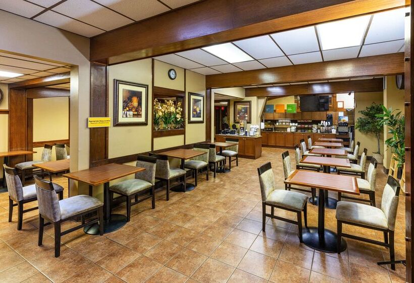 בית מלון כפרי Comfort Inn & Suites