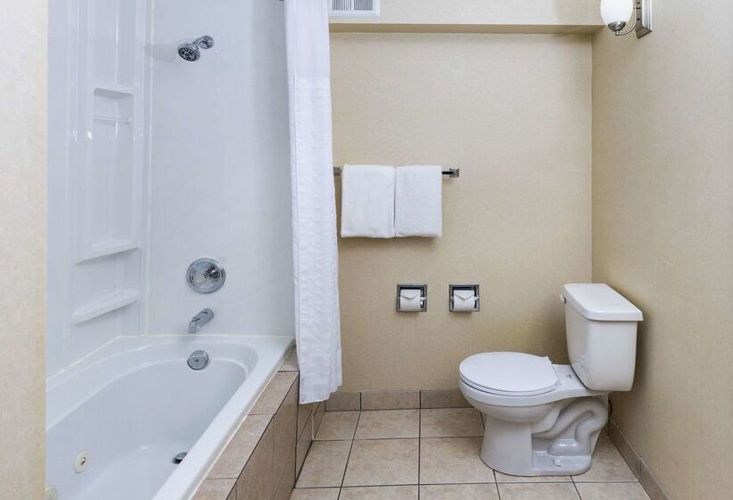 בית מלון כפרי Comfort Inn & Suites