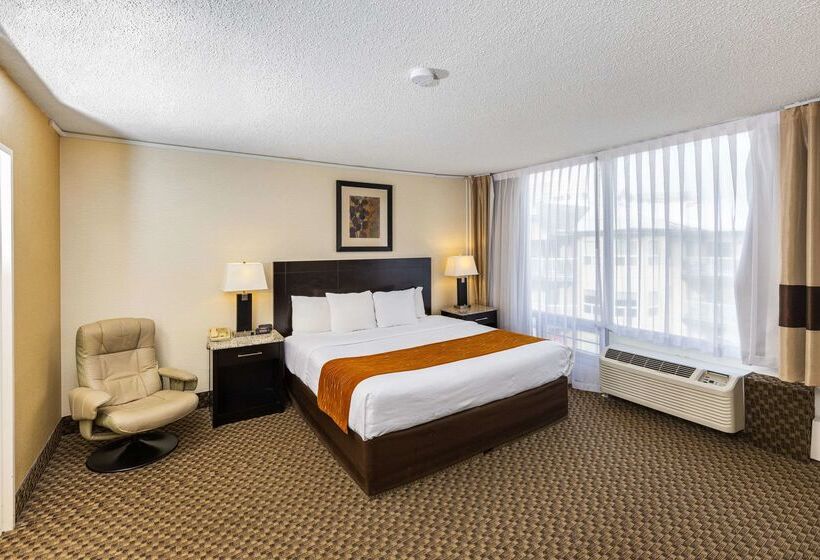 בית מלון כפרי Comfort Inn & Suites