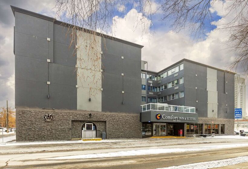 בית מלון כפרי Comfort Inn & Suites