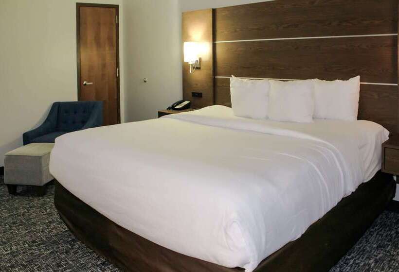 فندق Comfort Inn & Suites Near Lake Guntersville