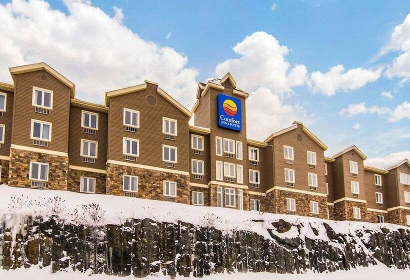 酒店 Comfort Inn And Suites St Jerome