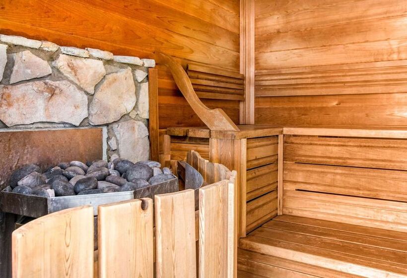 酒店 Comfort Inn And Suites St Jerome