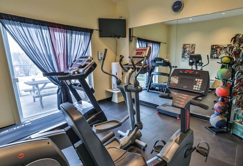 酒店 Comfort Inn And Suites St Jerome