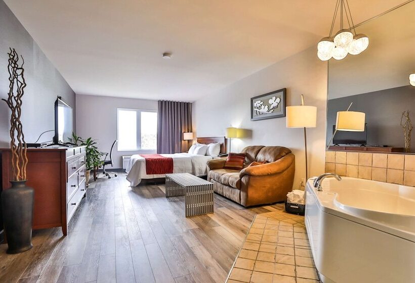 酒店 Comfort Inn And Suites St Jerome