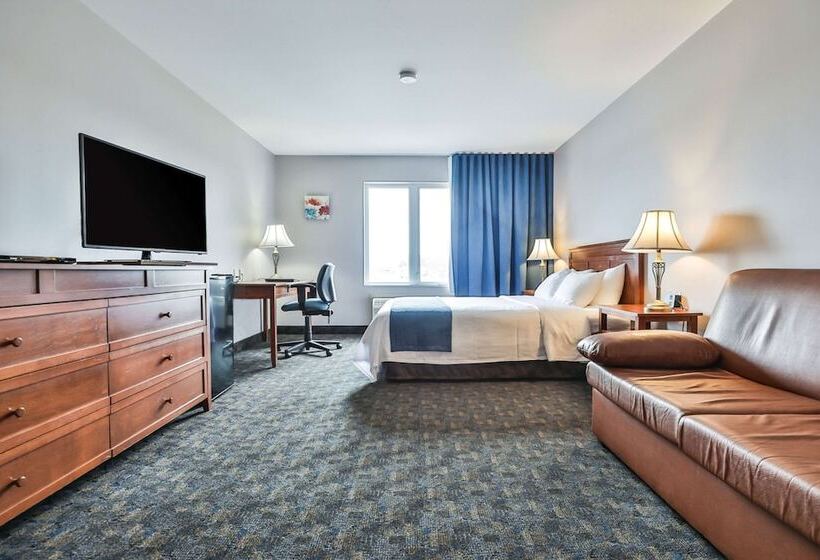 酒店 Comfort Inn And Suites St Jerome