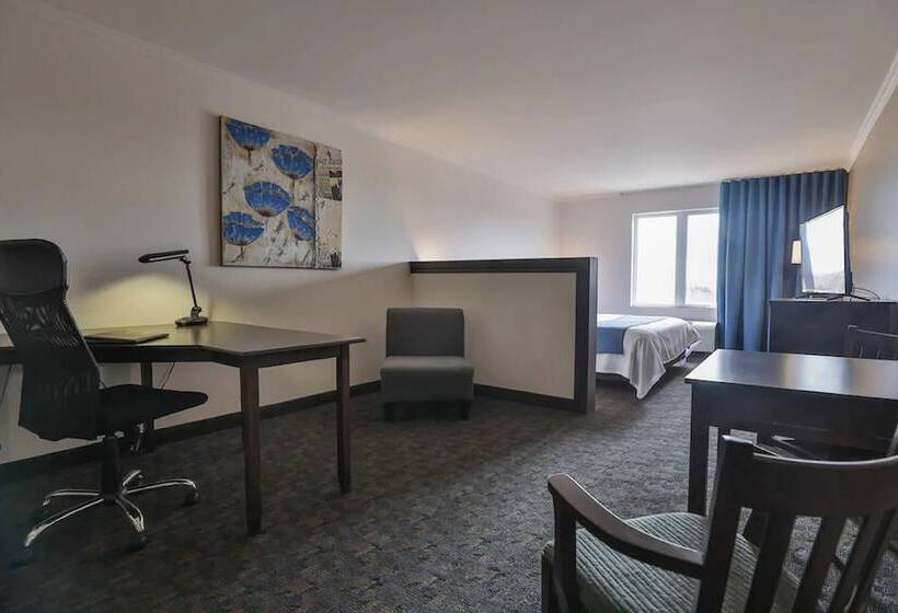 酒店 Comfort Inn And Suites St Jerome