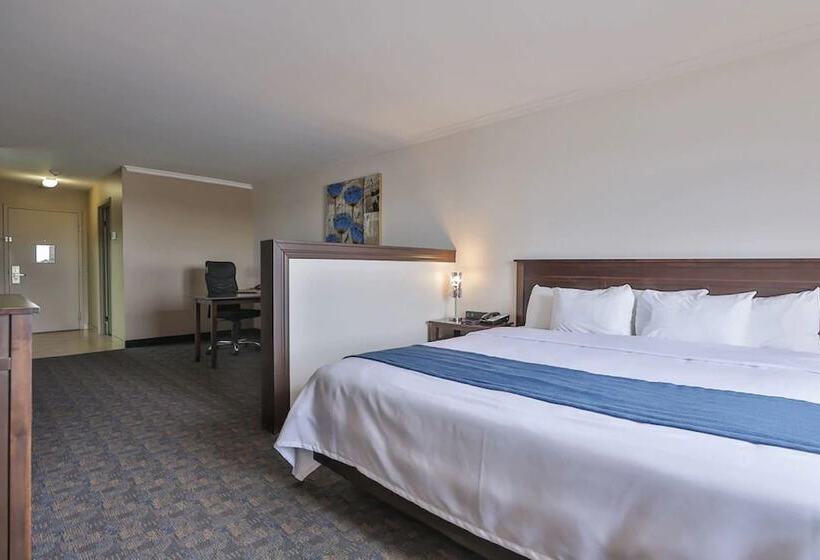 酒店 Comfort Inn And Suites St Jerome