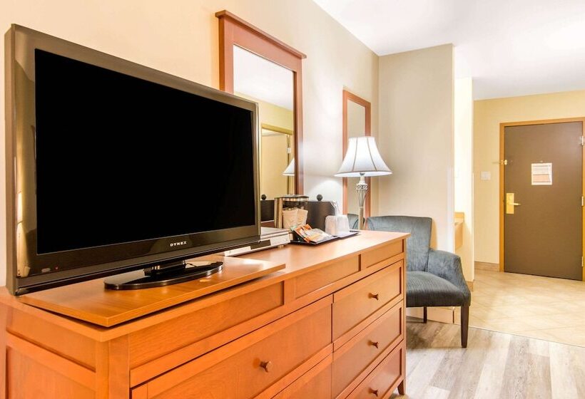 酒店 Comfort Inn And Suites St Jerome