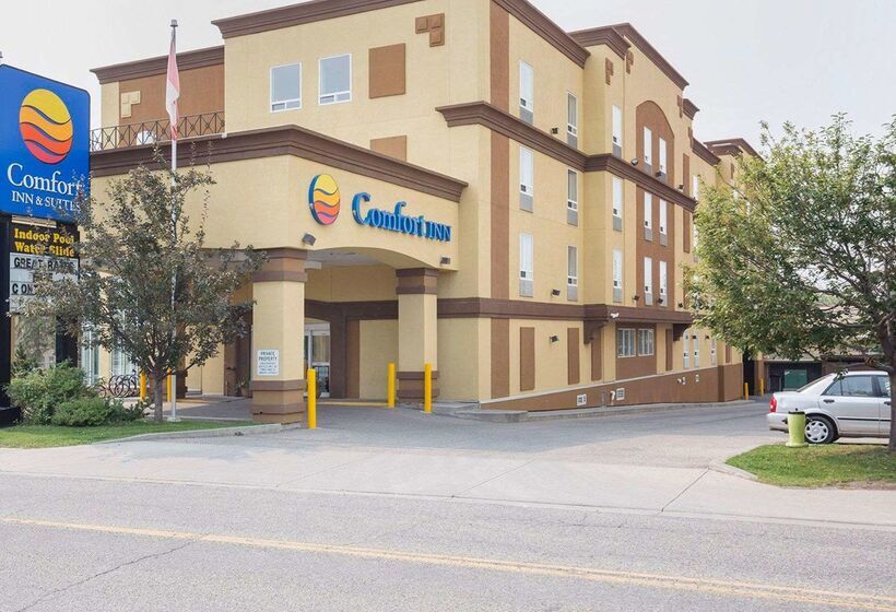 هتل Comfort Inn & Suites University
