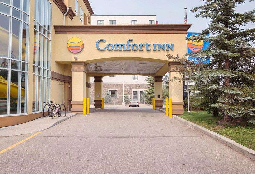 فندق Comfort Inn & Suites University
