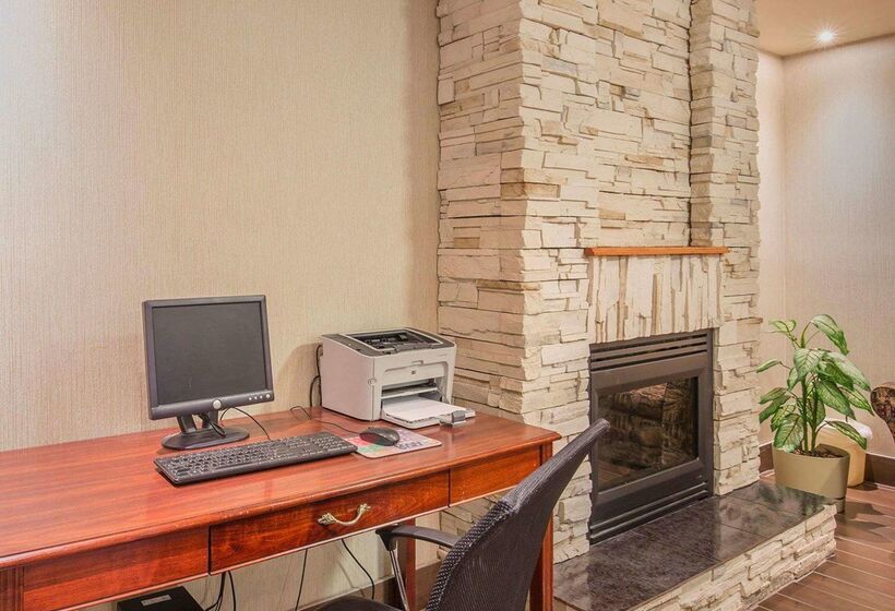 فندق Comfort Inn & Suites University