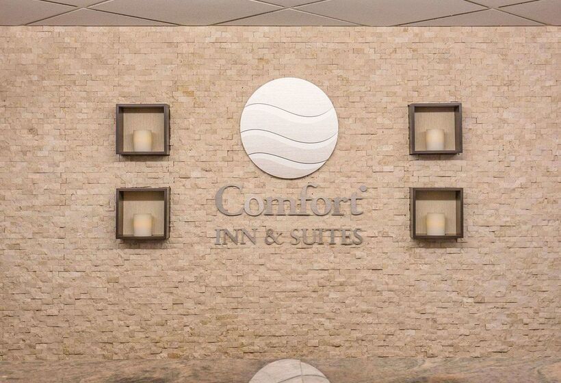 فندق Comfort Inn & Suites University
