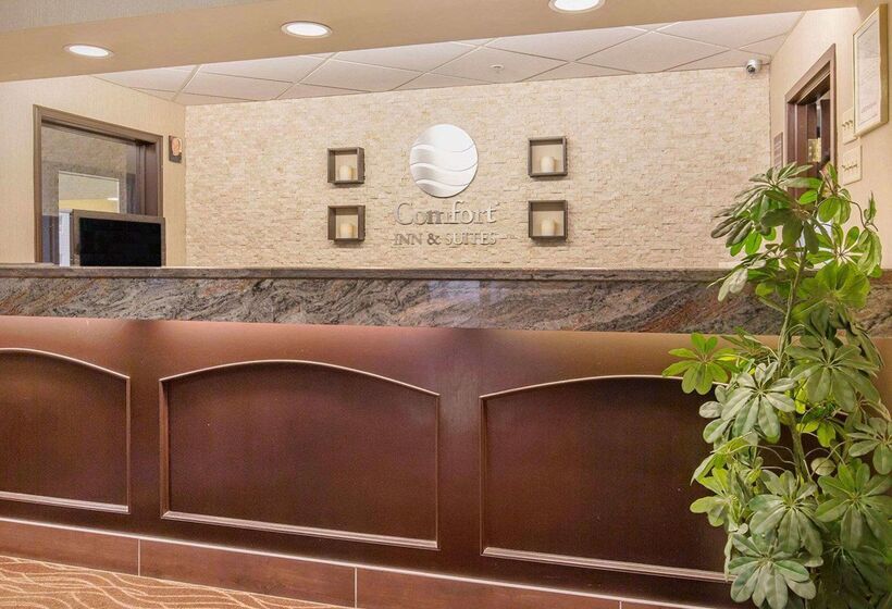 فندق Comfort Inn & Suites University