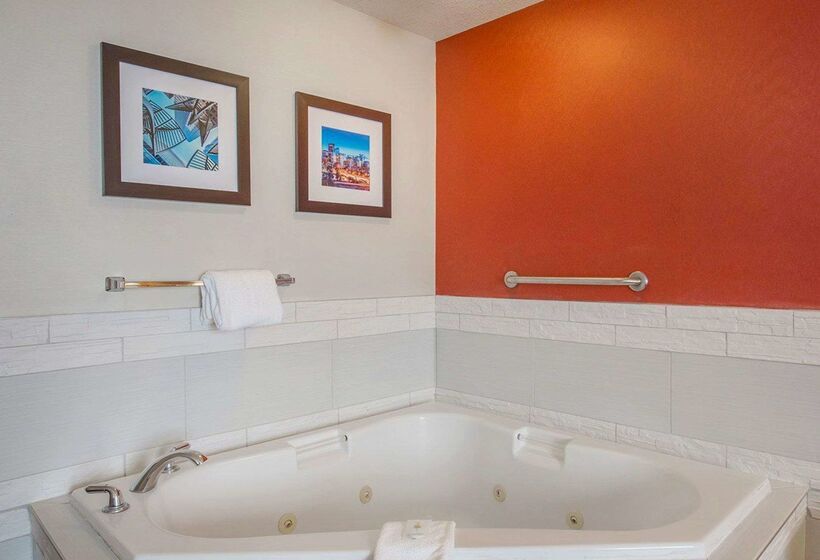 בית מלון כפרי Comfort Inn & Suites University