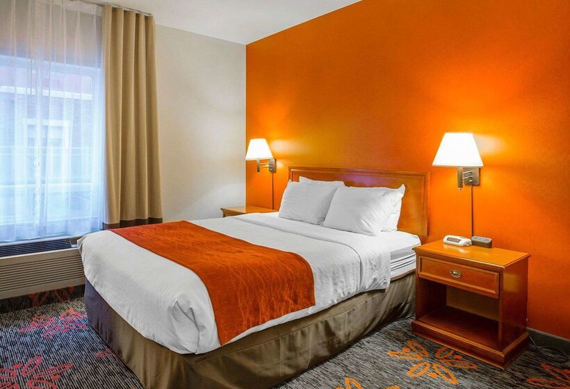 فندق Comfort Inn & Suites University