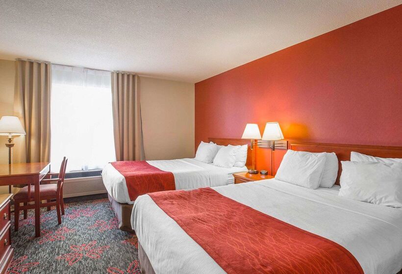 فندق Comfort Inn & Suites University