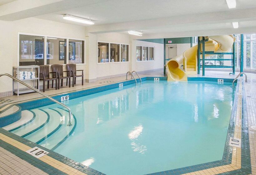 فندق Comfort Inn & Suites University