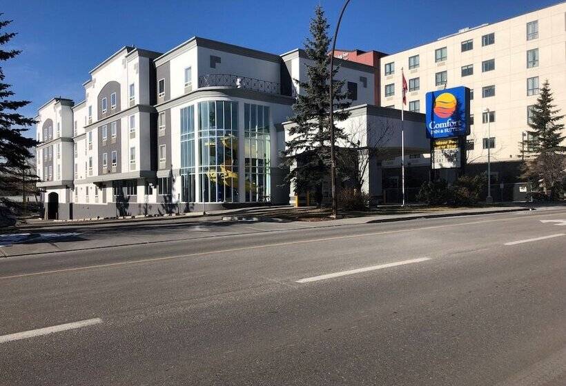 فندق Comfort Inn & Suites University