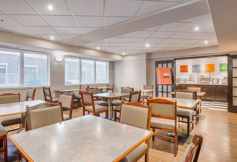 فندق Comfort Inn & Suites University