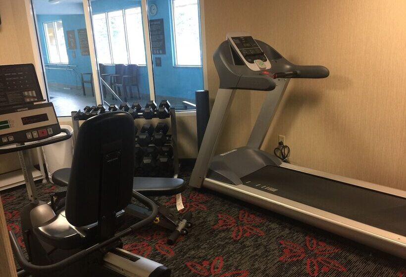 فندق Comfort Inn & Suites University