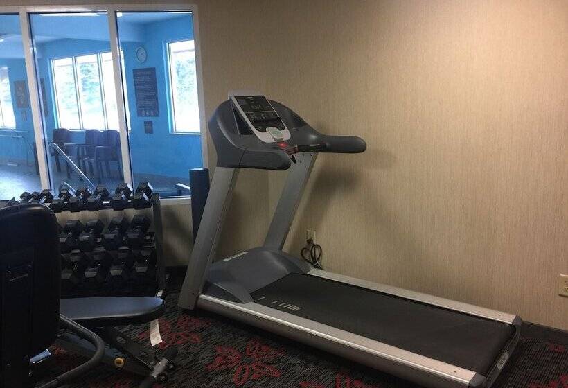 فندق Comfort Inn & Suites University