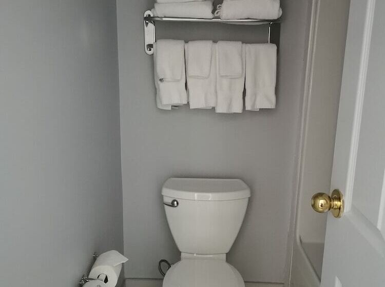 فندق Comfort Inn & Suites University