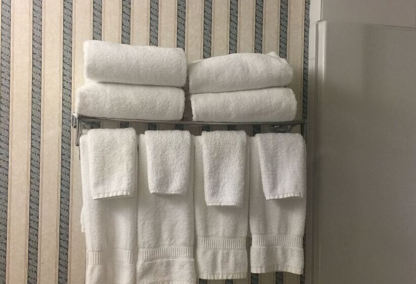 בית מלון כפרי Comfort Inn & Suites University