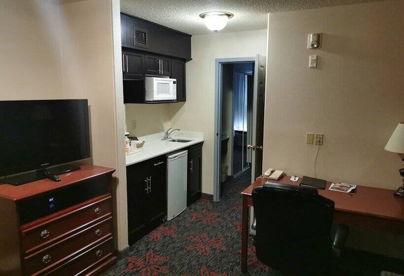 فندق Comfort Inn & Suites University