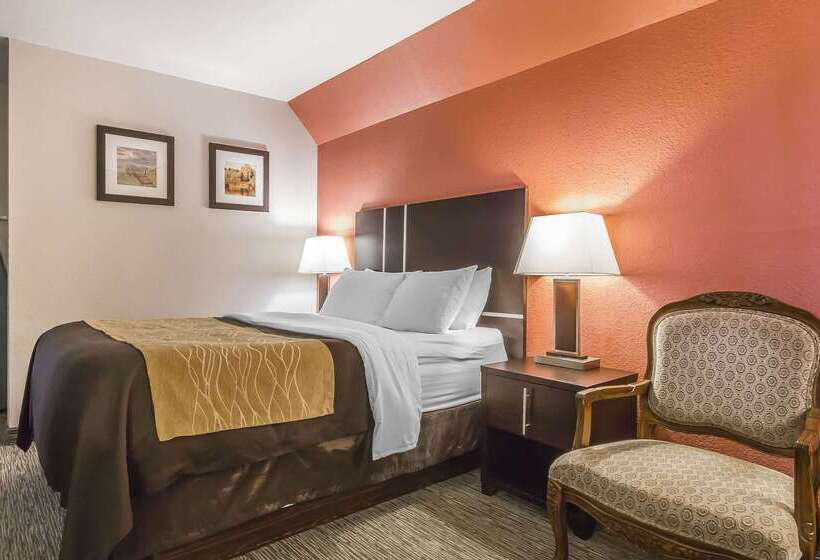 فندق Comfort Inn & Suites