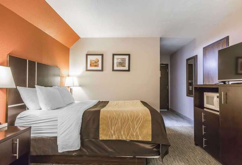 فندق Comfort Inn & Suites