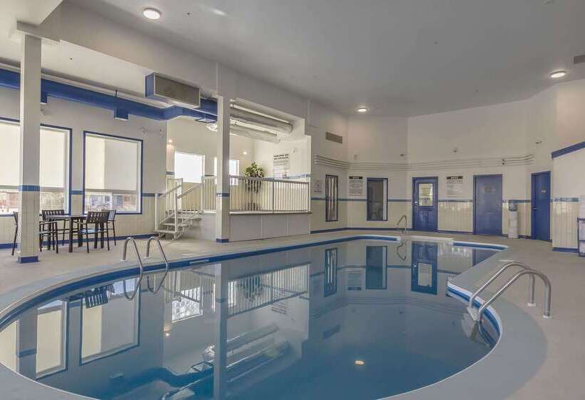 فندق Comfort Inn & Suites