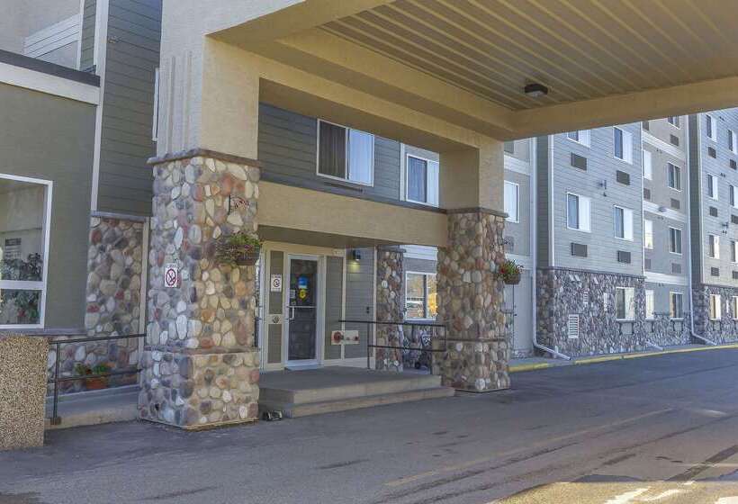 בית מלון כפרי Comfort Inn & Suites