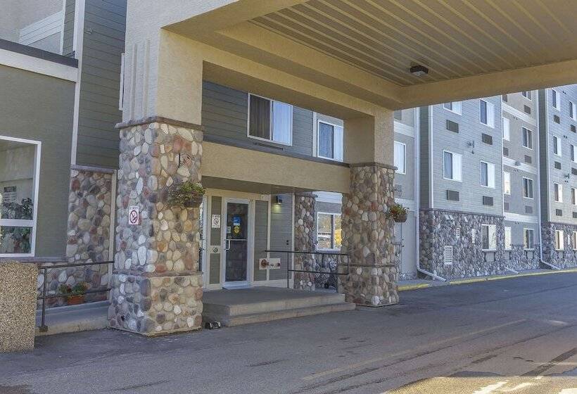 فندق Comfort Inn & Suites