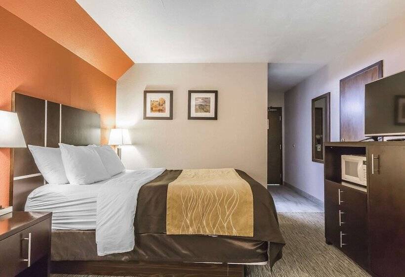 בית מלון כפרי Comfort Inn & Suites