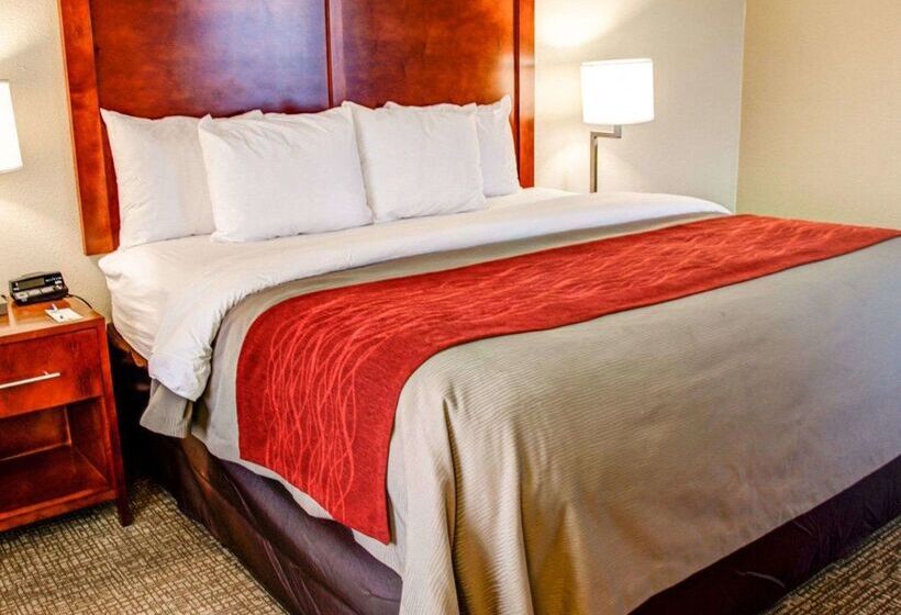 酒店 Comfort Inn Bessemer Birmingham South