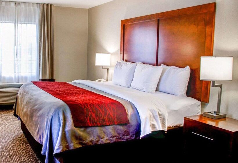 酒店 Comfort Inn Bessemer Birmingham South