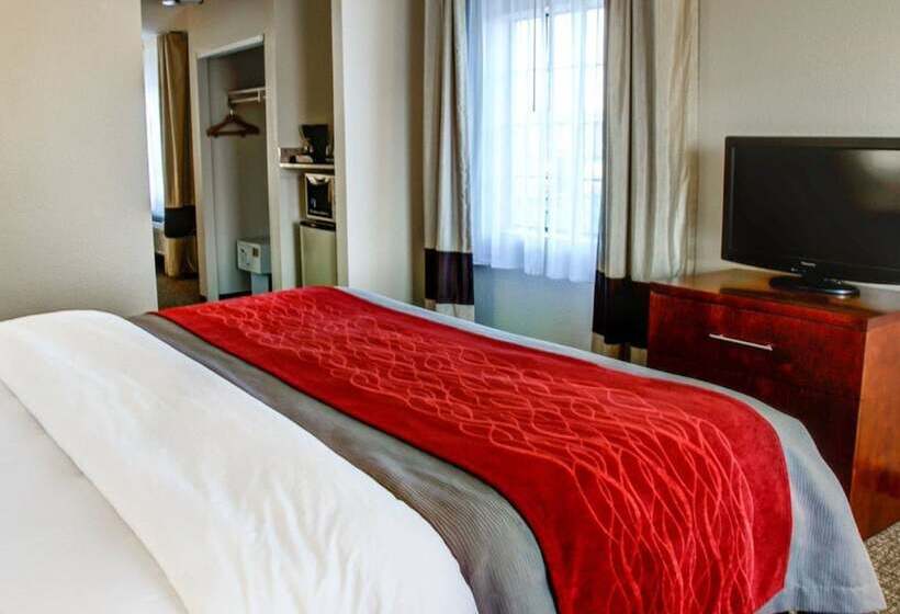 酒店 Comfort Inn Bessemer Birmingham South