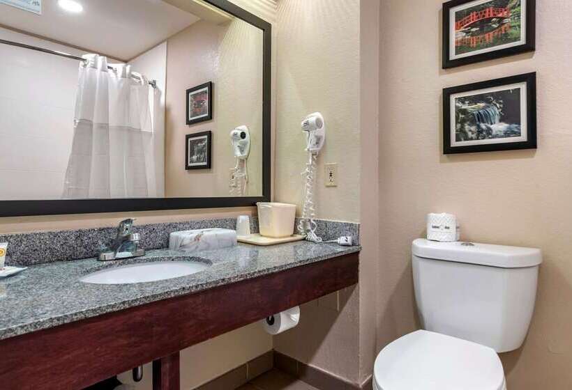 호텔 Comfort Inn Birmingham  Irondale