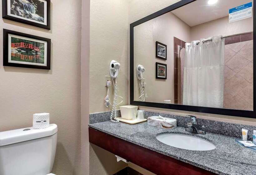 هتل Comfort Inn Birmingham  Irondale