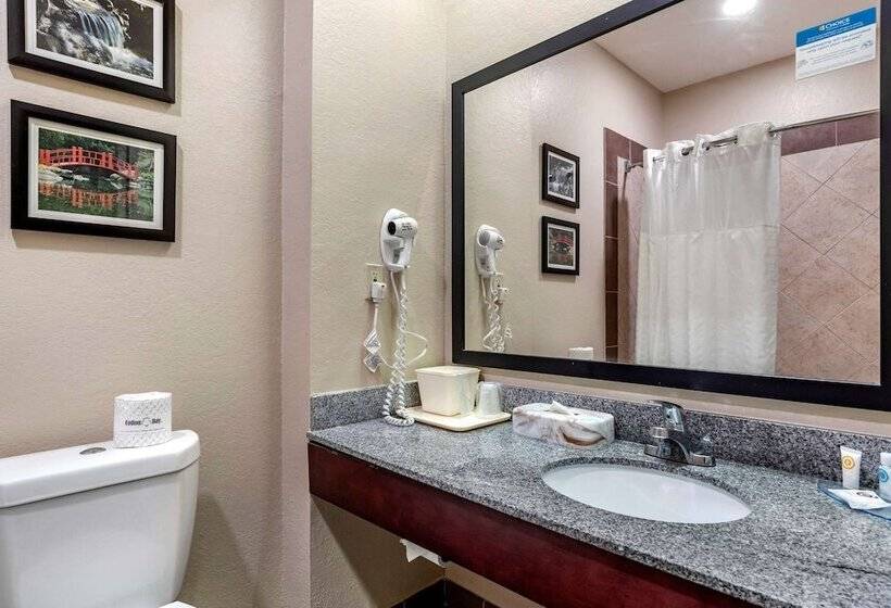 هتل Comfort Inn Birmingham  Irondale