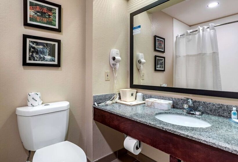 호텔 Comfort Inn Birmingham  Irondale