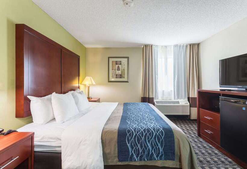فندق Comfort Inn Decatur Priceville