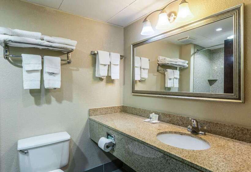 فندق Comfort Inn Decatur Priceville
