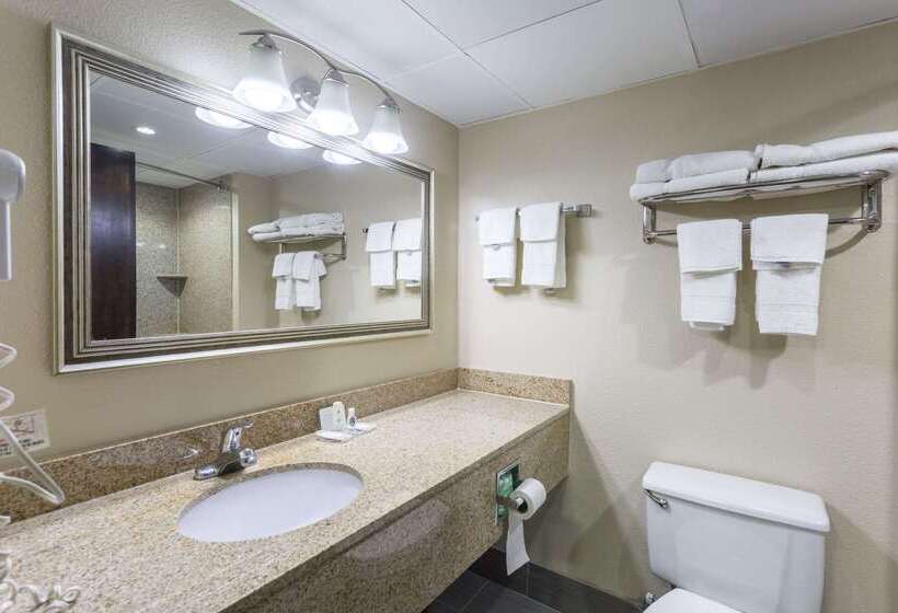 فندق Comfort Inn Decatur Priceville