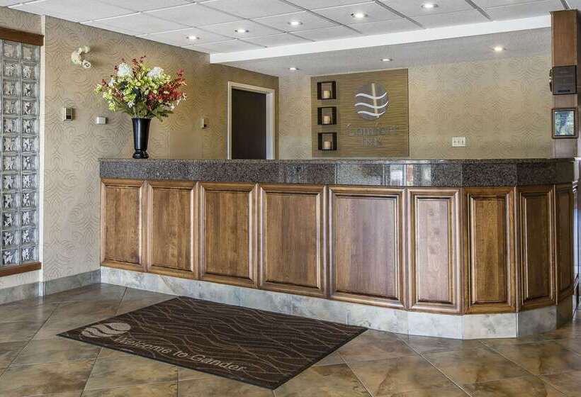 Отель Comfort Inn   Gander