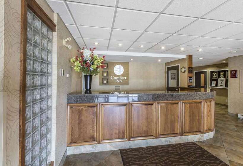 Отель Comfort Inn   Gander