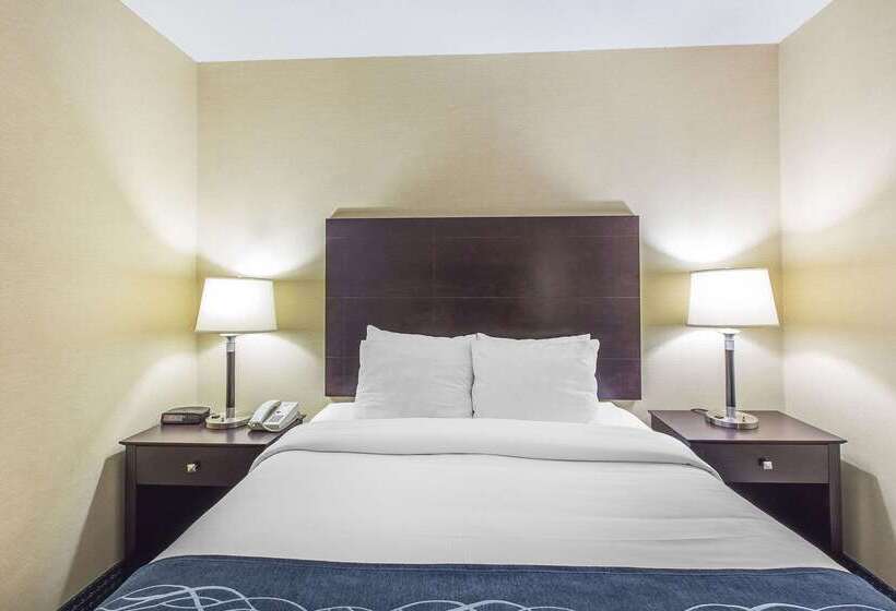 Отель Comfort Inn   Gander