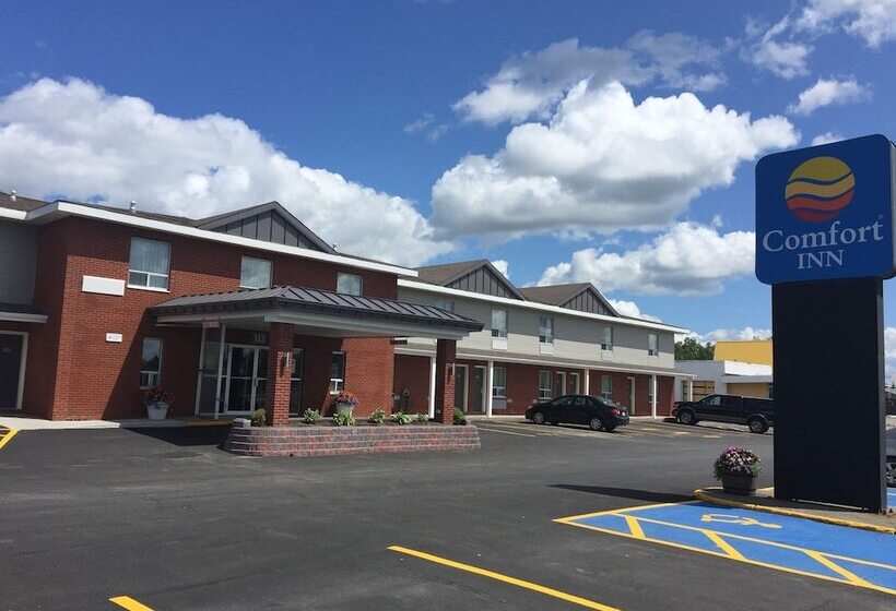Отель Comfort Inn   Gander