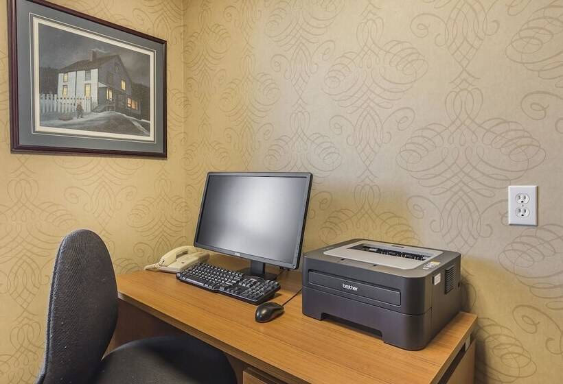 Отель Comfort Inn   Gander